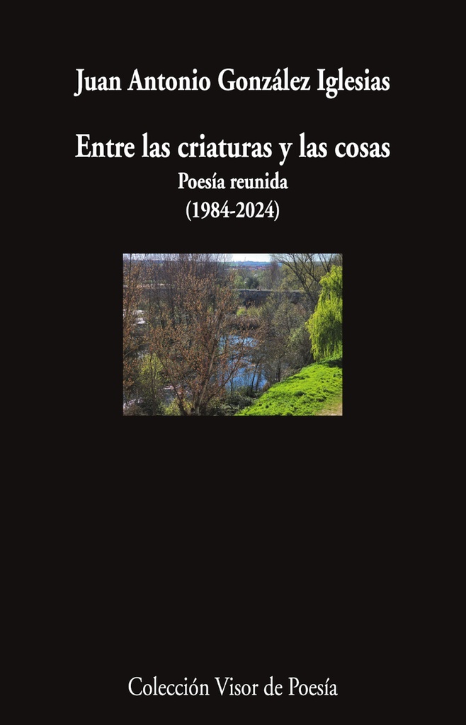 [9791387745820] Entre las criaturas y las cosas