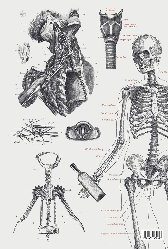 [9788409432691] Vinos