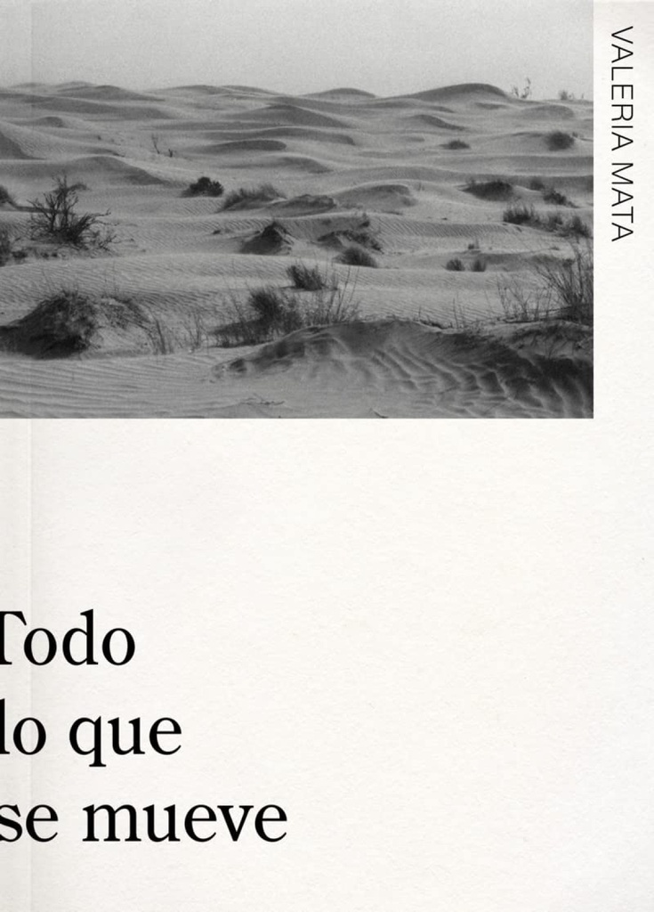 Todo Lo que Se Mueve