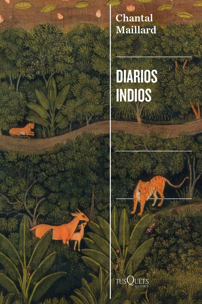 [9788411077385] Diarios indios