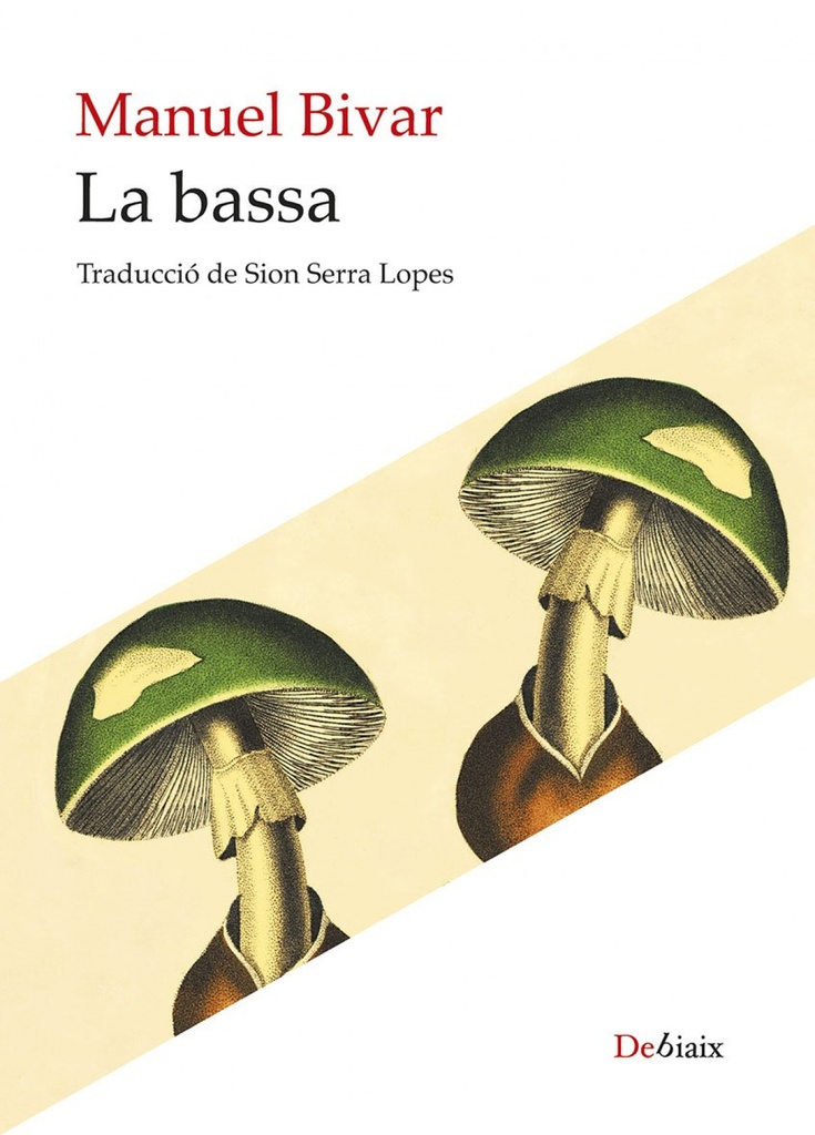 [9788410377813] La bassa