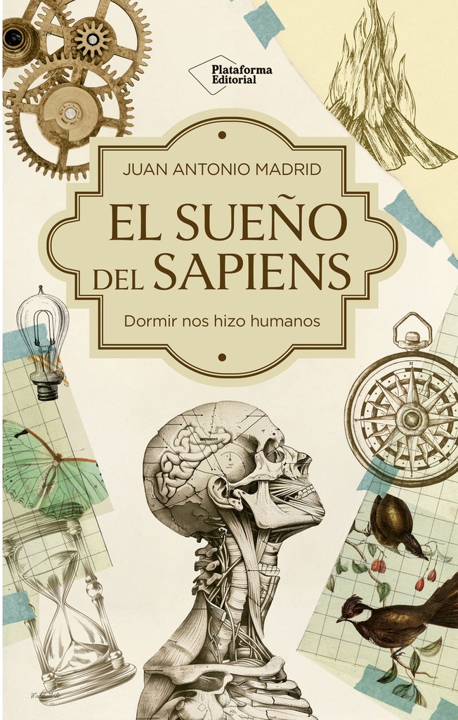 [9791387813314] El sueño del Sapiens