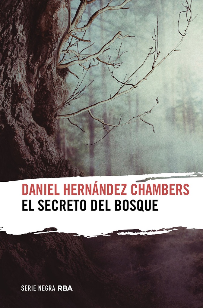 [9788411321464] El secreto del bosque