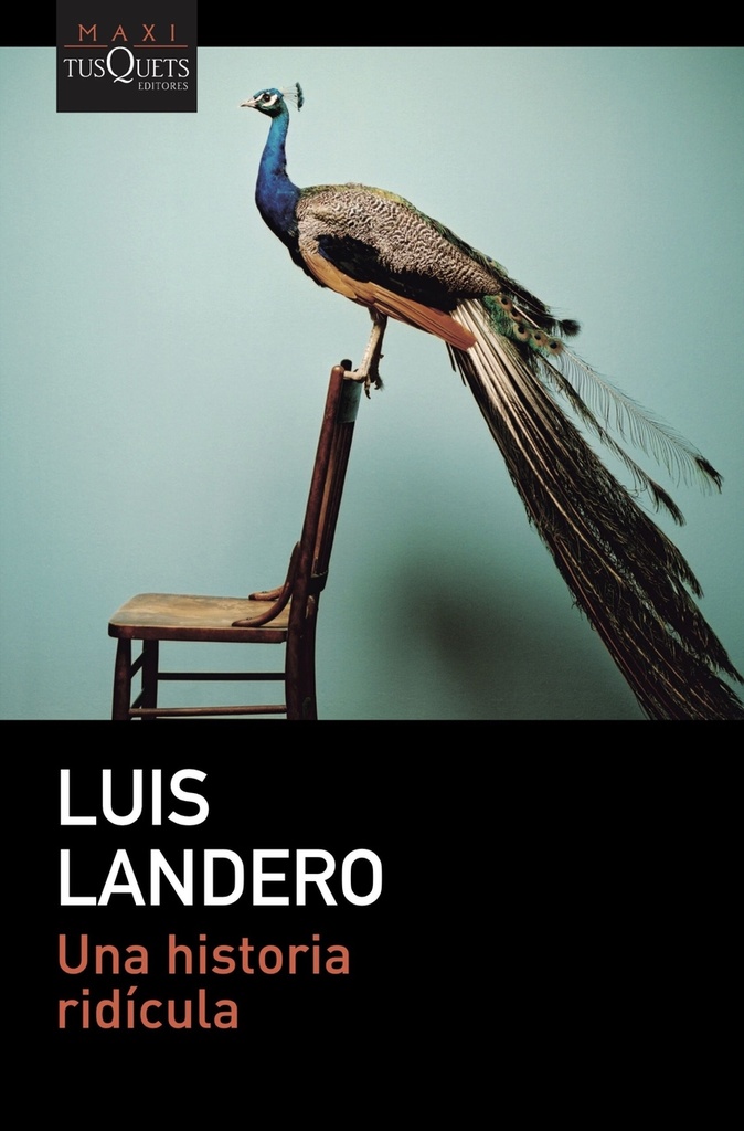 [9788411073288] Una historia ridicula