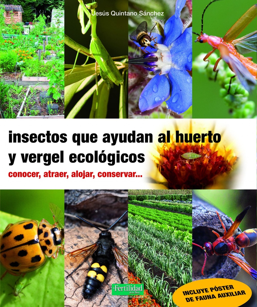 [9788412183061] Insectos que ayudan al huerto y vergel ecológicos