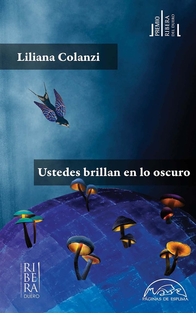 [9788483933145] Udes.brillan oscuro