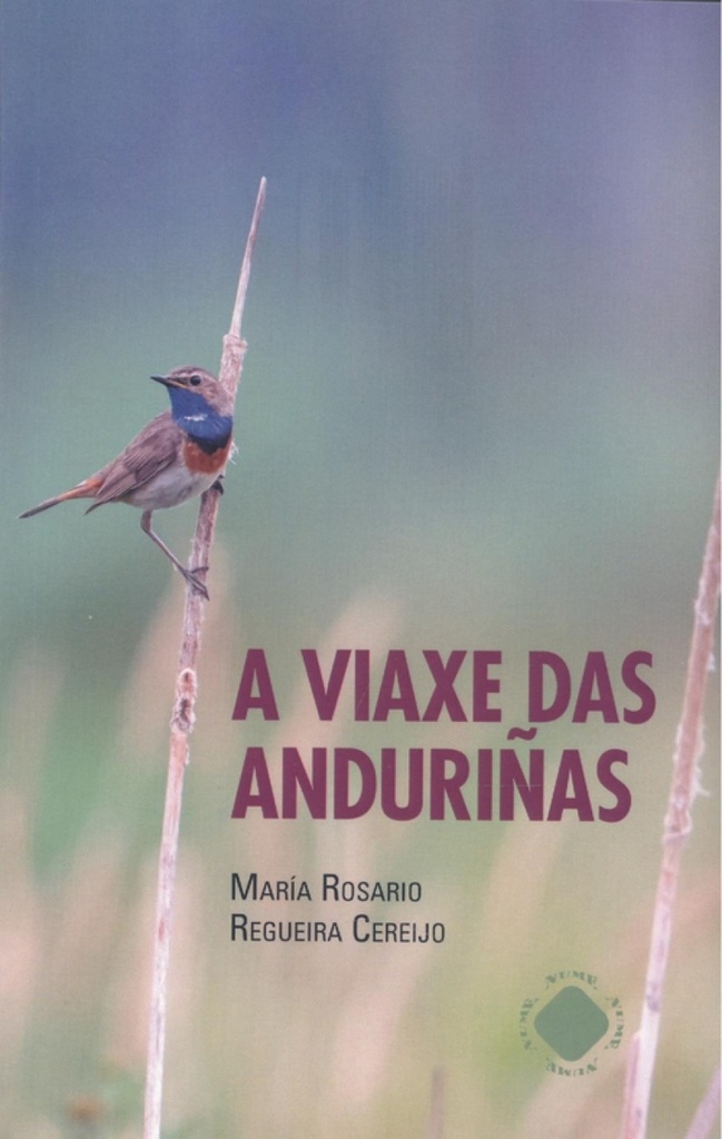 [9788412340969] A Viaxe Das Anduriñas