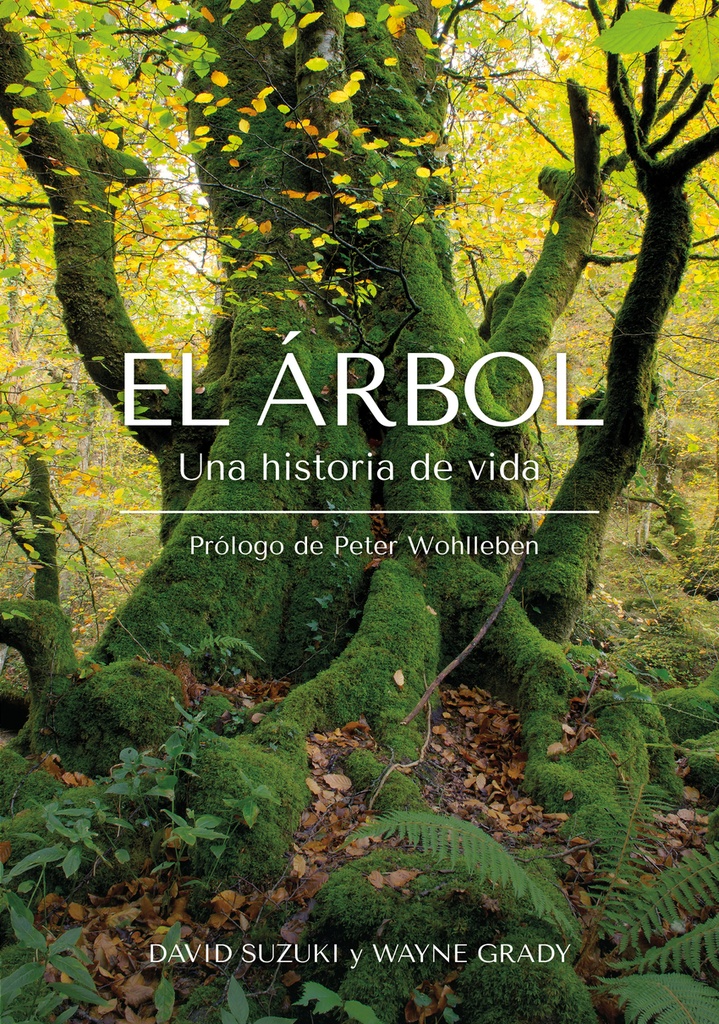 [9788412618471] El Árbol