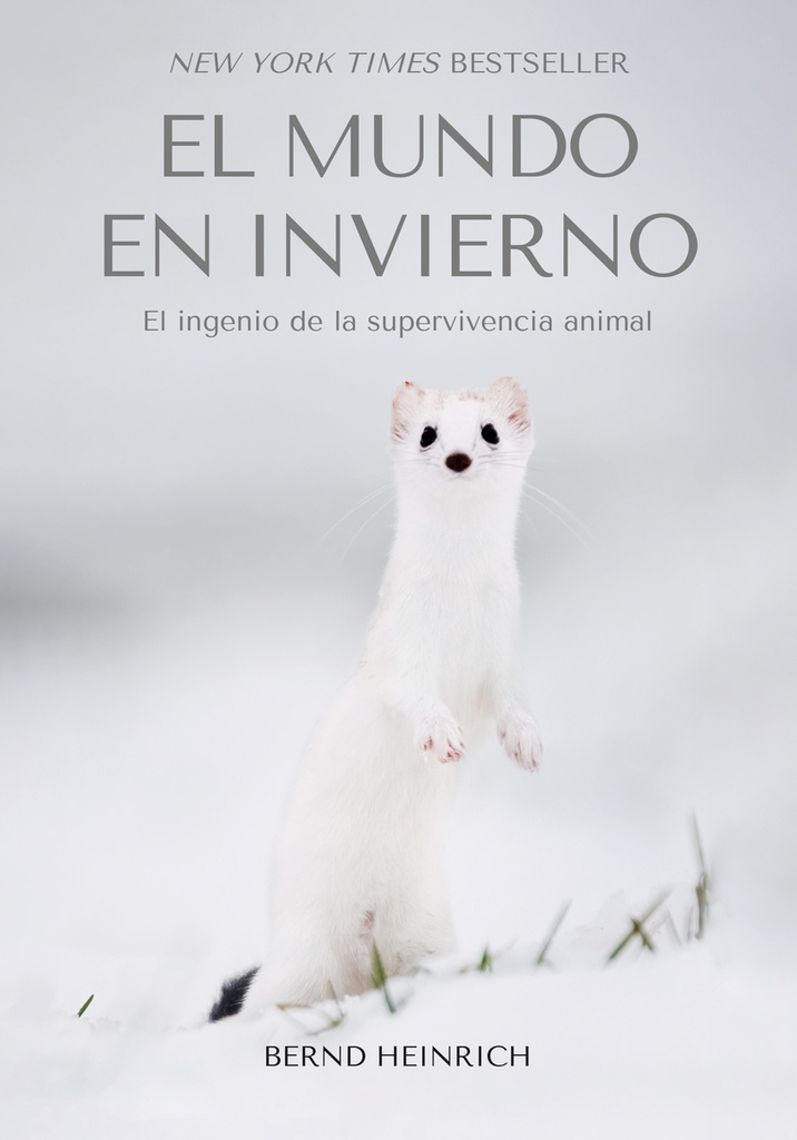 [9788412724127] El Mundo en Invierno