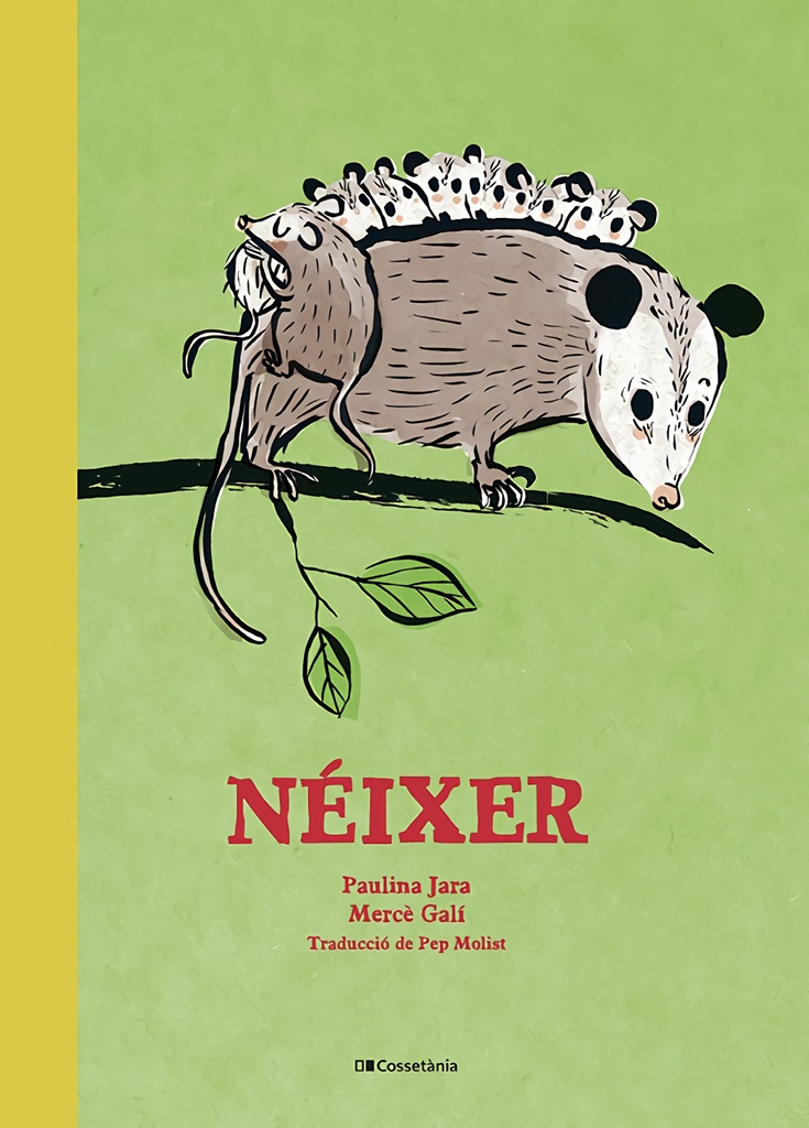 [9788413562148] Néixer