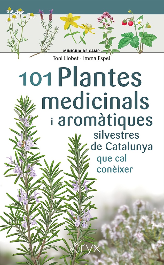 [9788413562209] 101 Plantes medicinals i aromàtiques silvestres de Catalunya