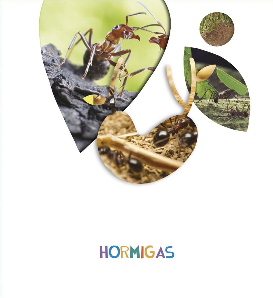 [9788414011478] Hormigas 5 Años 2018