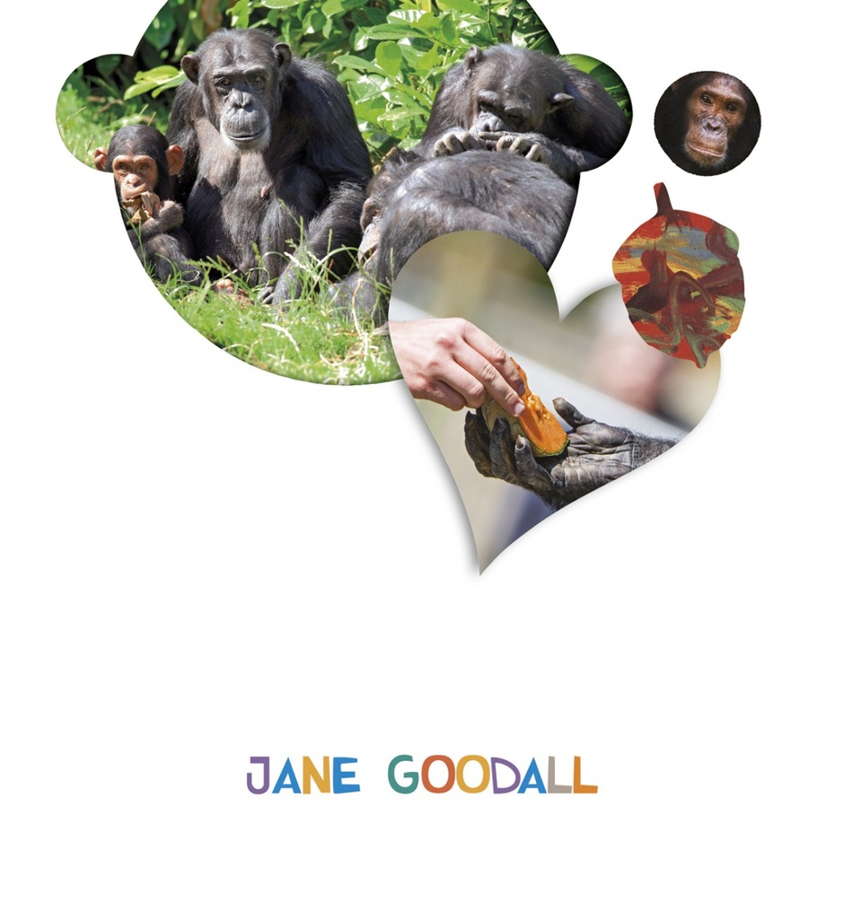 [9788414011799] Jane Goodall 4 Años. Proyectos ¿lo Ves?