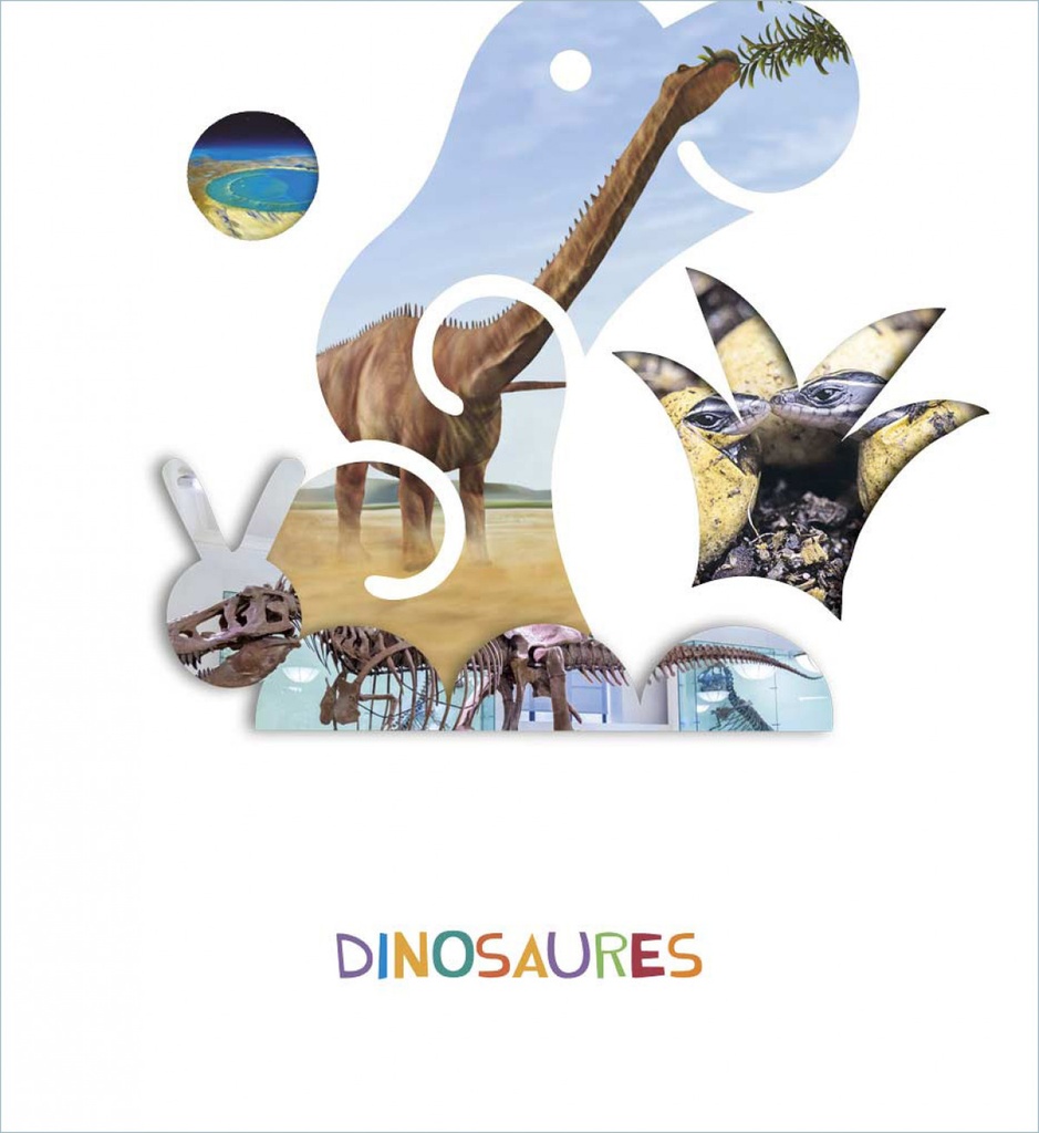 [9788414029015] Projecte Ho veus? - 4 anys : Dinosaures
