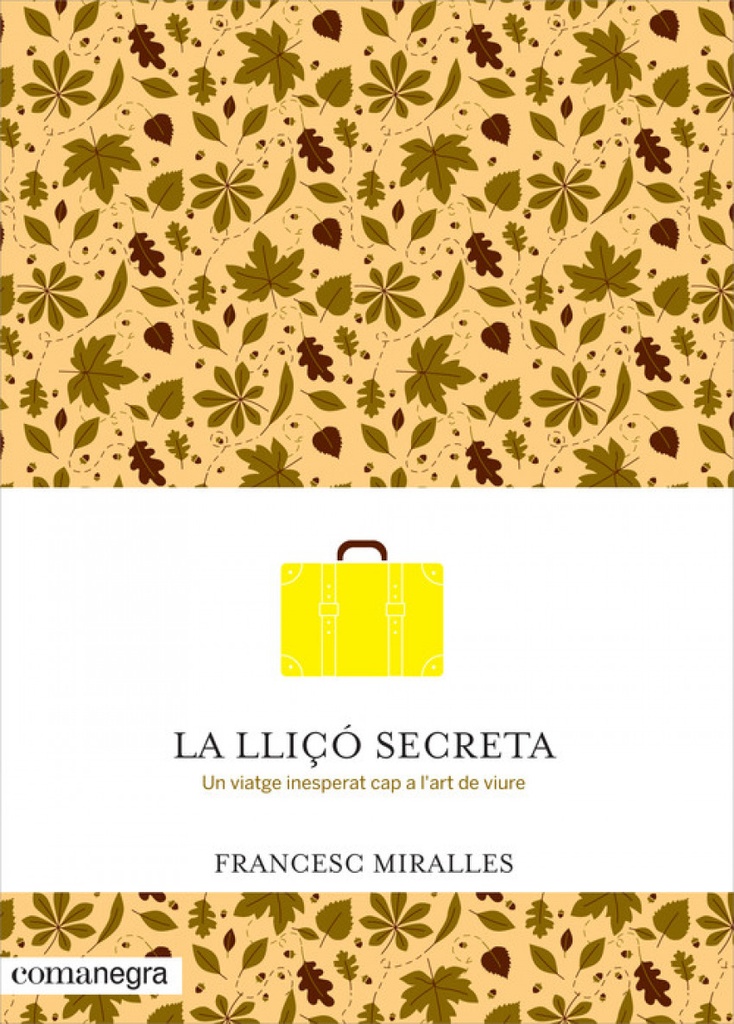 [9788416033720] La lliço secreta