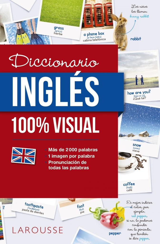 [9788416641772] Diccionario de Inglés 100% Visual