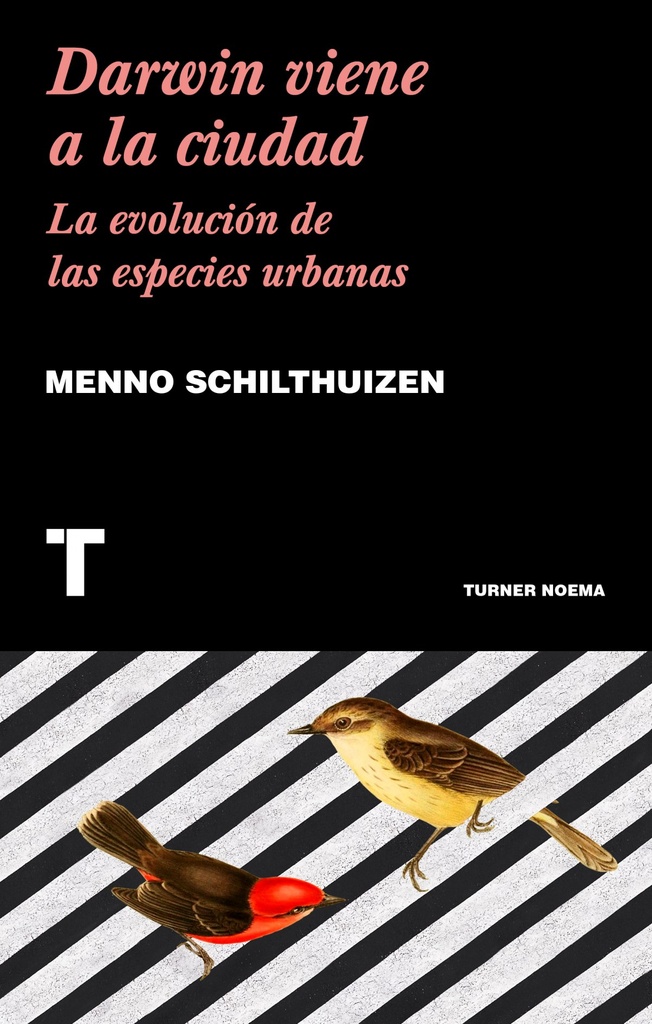 Darwin Viene a la Ciudad