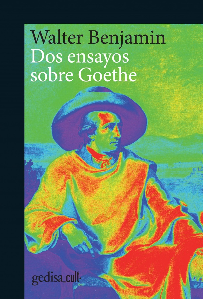 [9788417341770] Dos Ensayos Sobre Goethe