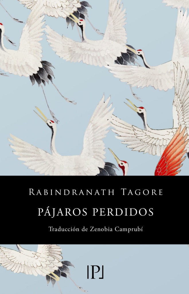 [9788418082467] Pájaros perdidos (Sentimientos)