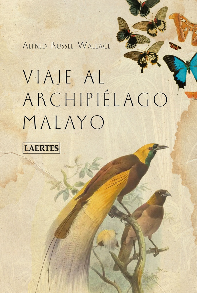 [9788418292958] Viaje al Archipiélago Malayo