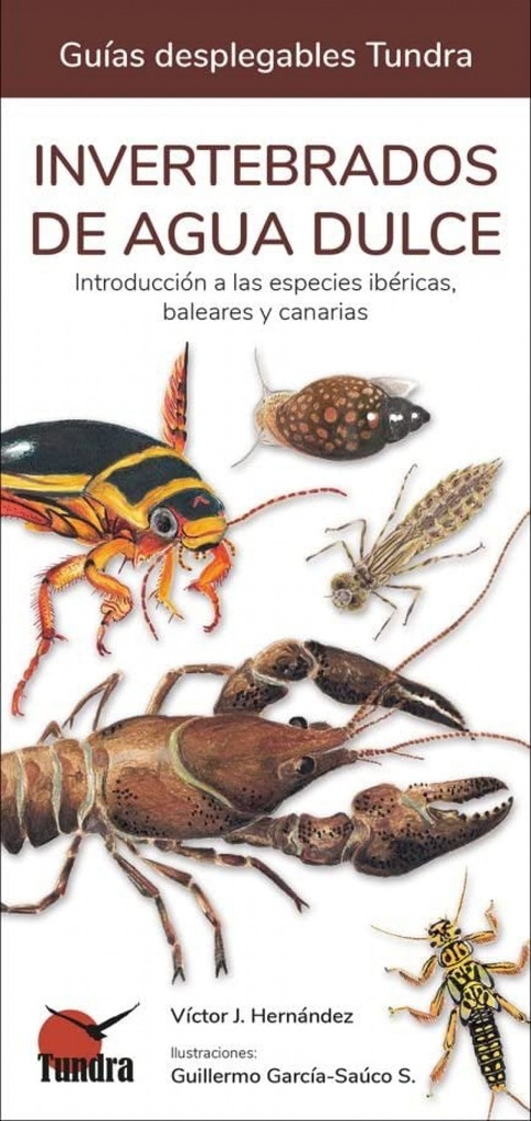 [9788418458484] Invertebrados de Agua Dulce - Guias Desplegables Tundra