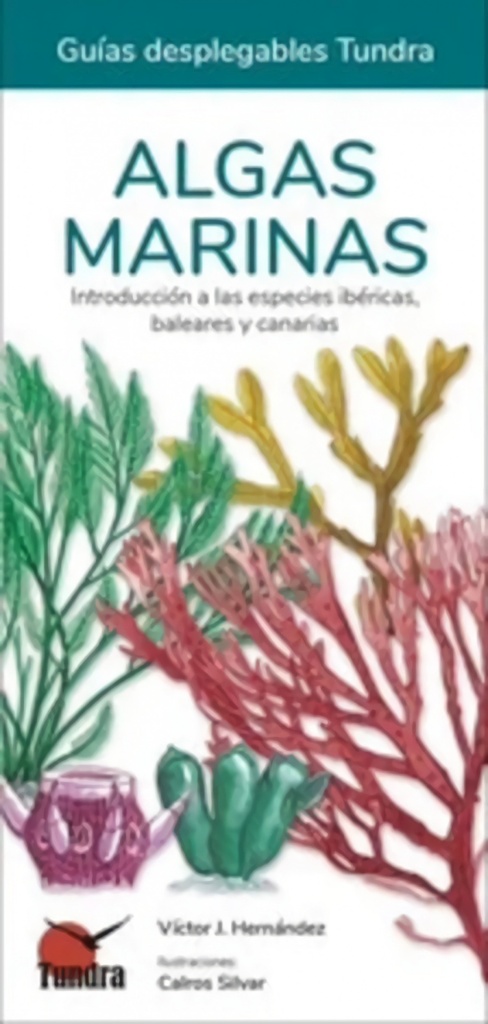 [9788418458545] Algas Marinas Introduccion a Especies Ibericas Baleares Can