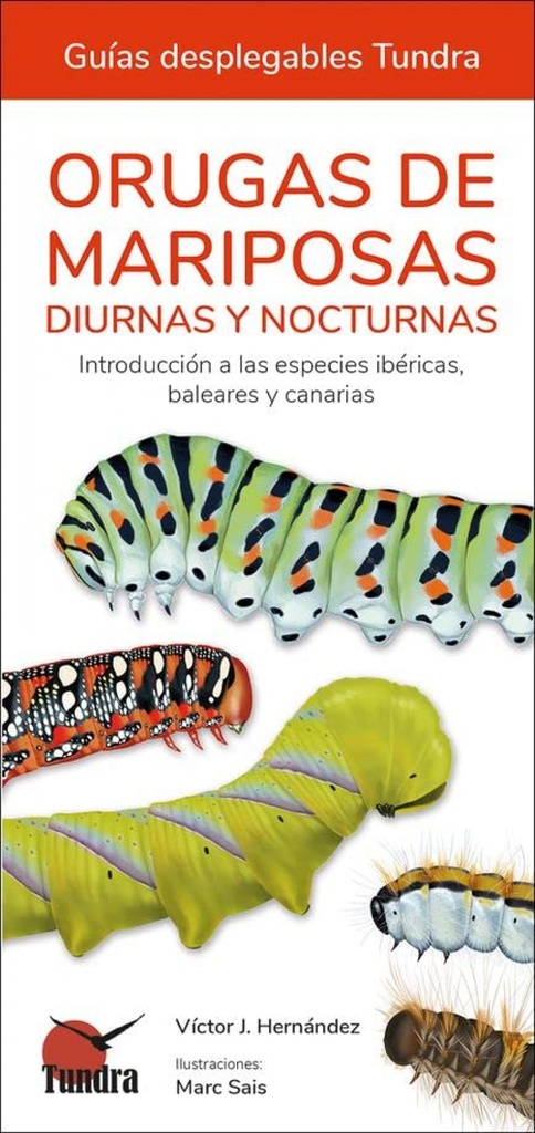 [9788418458613] Orugas de Mariposas - Guias Desplegables Tundra