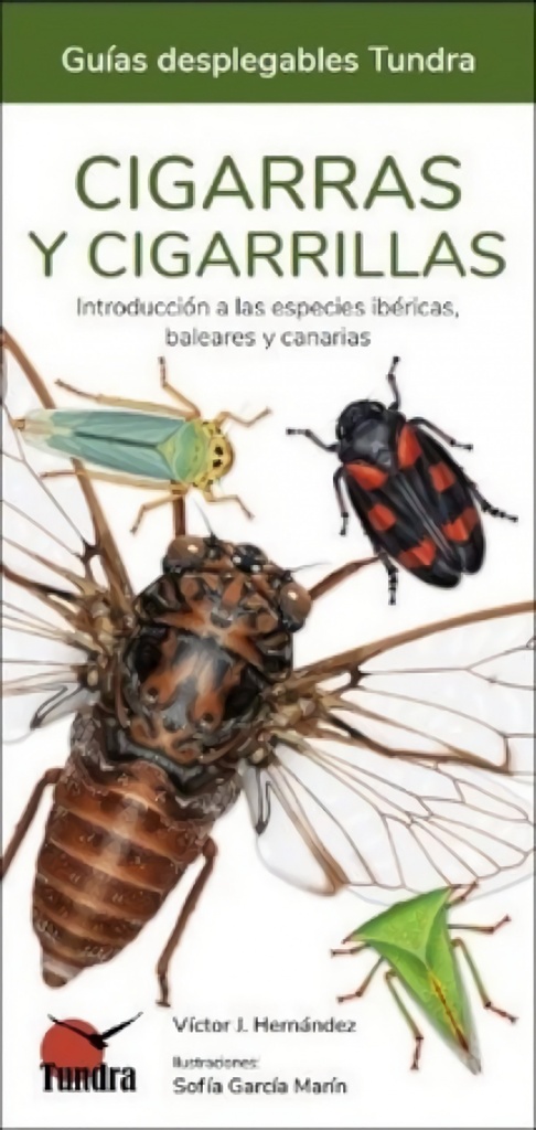 [9788418458637] Cigarras y Cigarrillas - Guias Desplegables Tundra