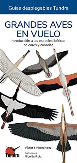 [9788418458682] Grandes Aves en Vuelo - Guias Desplegables Tundra