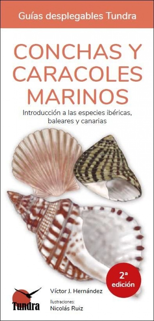 [9788418458798] Conchas y Caracoles Marinos - Guias Desplegables Tundra