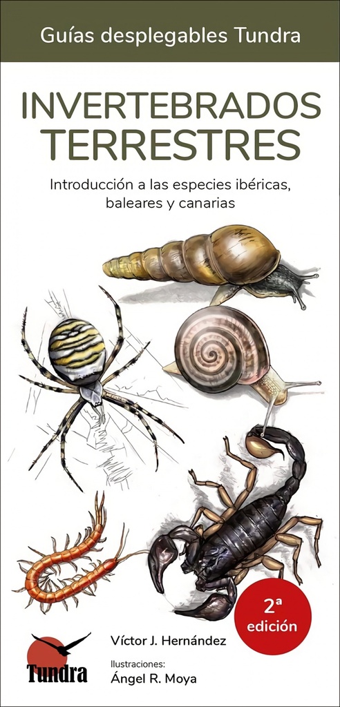 [9788418458804] Invertebrados Terrestres - Guias Desplegables Tundra