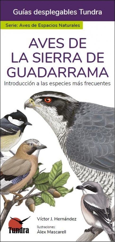 [9788418458965] Aves de la Sierra de Guadarrama - Guias Desplegables Tundra
