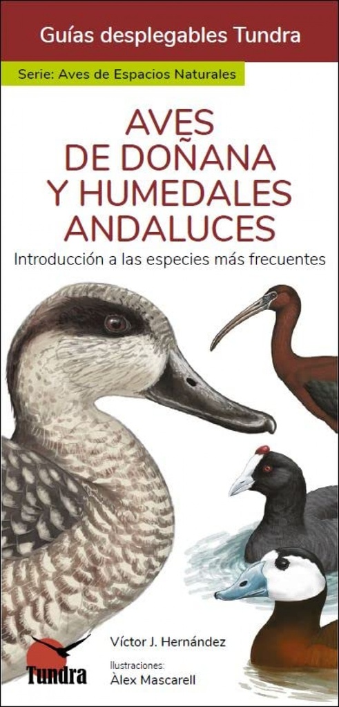 [9788418458972] Aves de Doñana y Humedales Andaluces - Guias Desplegables Tundra