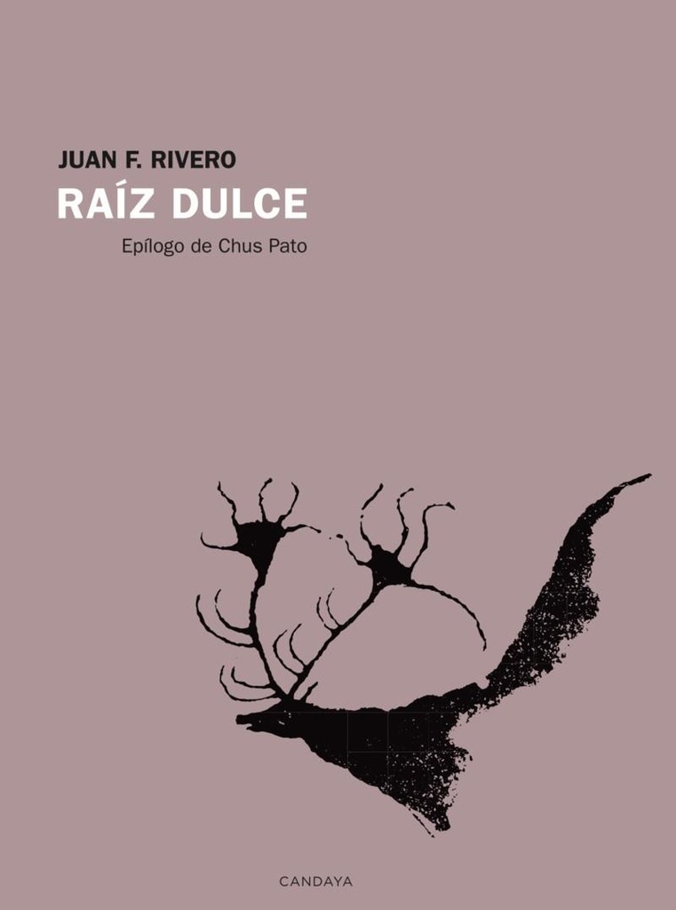 [9788418504662] Raíz dulce