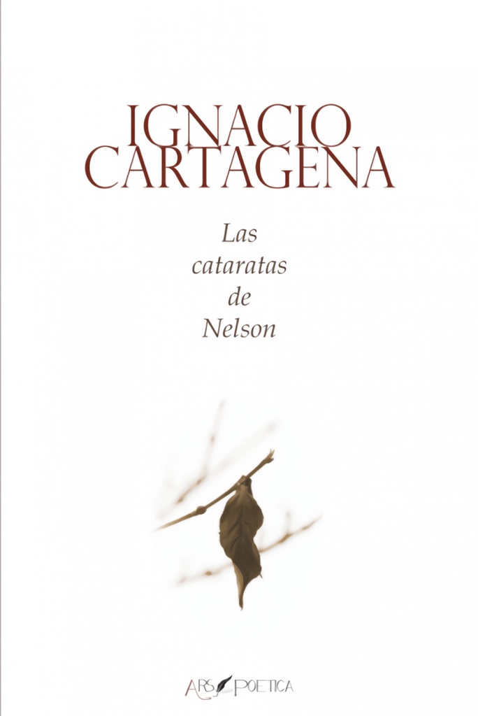 [9788418536205] Las cataratas de nelson