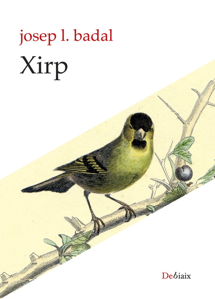 [9788418758645] Xirp