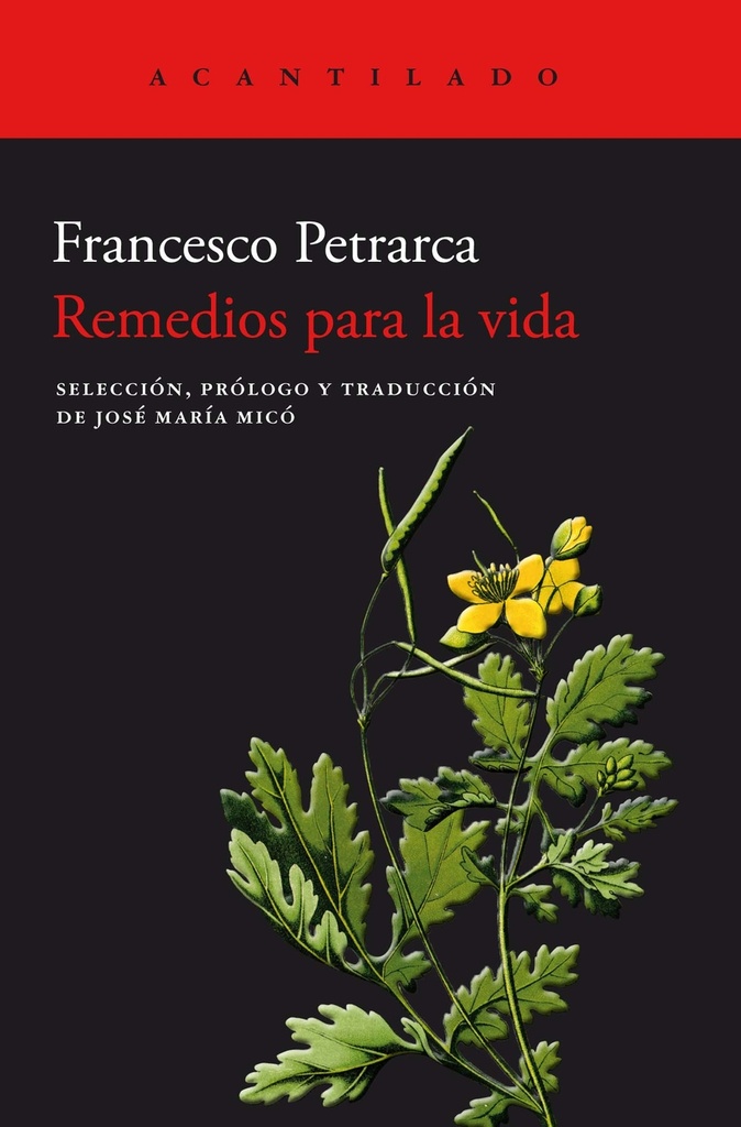 [9788419036339] Remedios para la vida