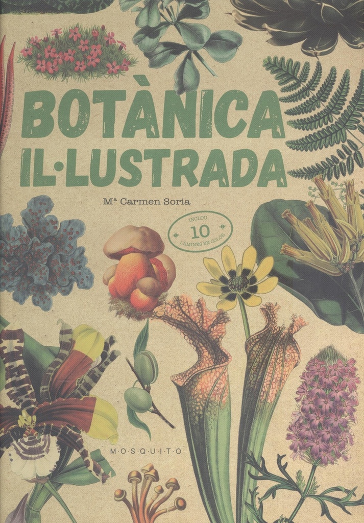 [9788419095091] Botànica Il·lustrada