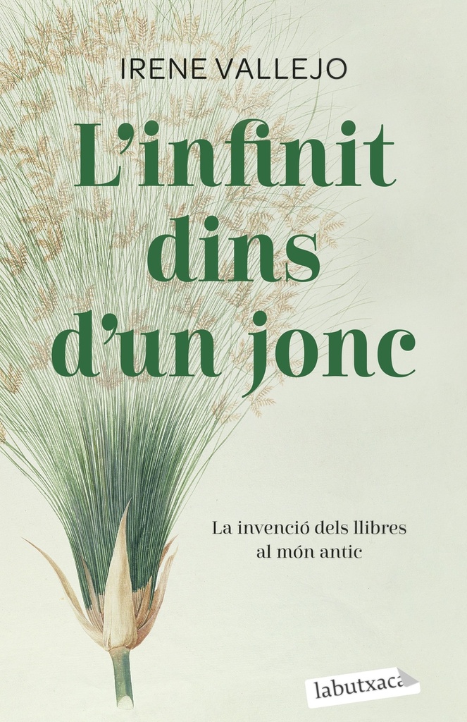 [9788419107121] L'infinit dins d'un jonc