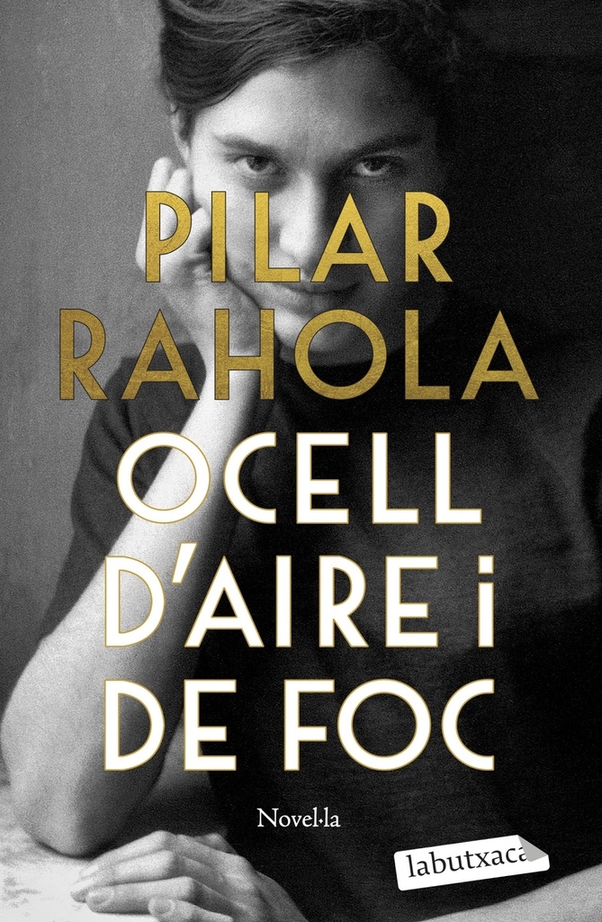 [9788419107879] Ocell d'aire i de foc