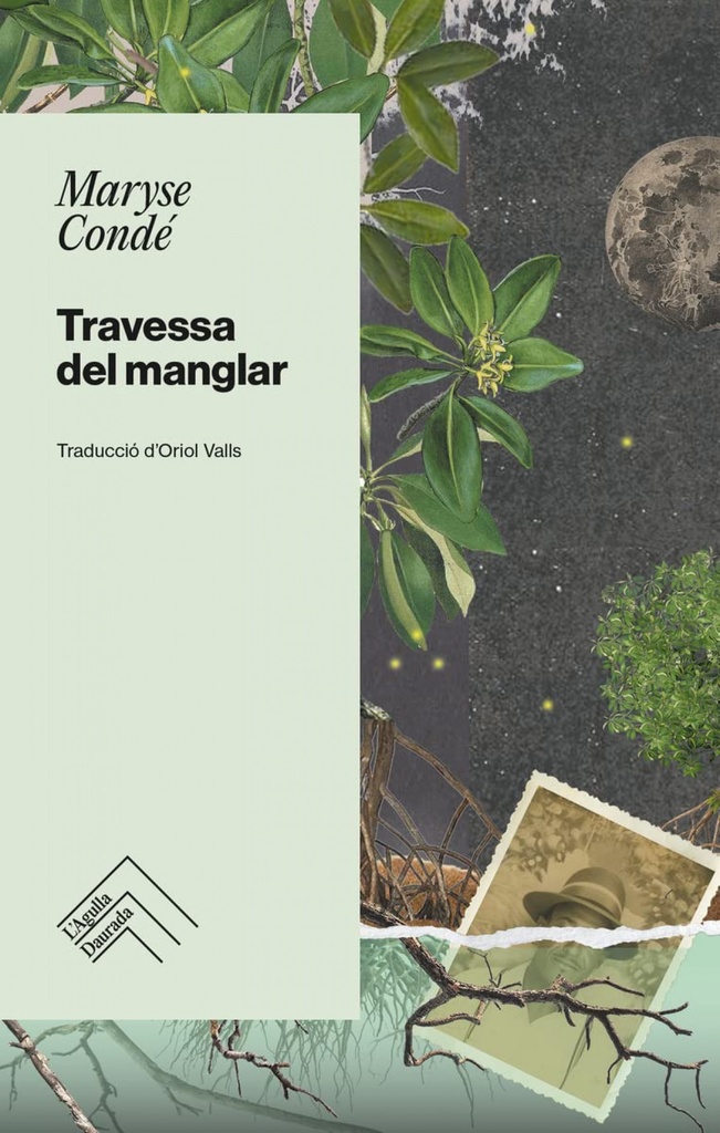 [9788419515001] Travessa del Manglar