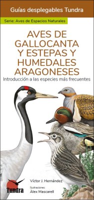 [9788419624017] Aves de Gallocanta y Estepas y Humedales Aragoneses - Guias Desplegables Tundra