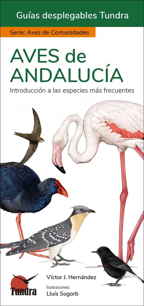 [9788419624093] Aves de Andalucia - Guias Desplegables Tundra