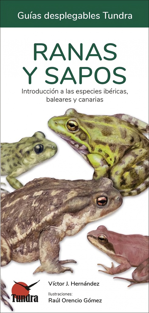 [9788419624109] Ranas y Sapos - Guias Desplegables Tundra