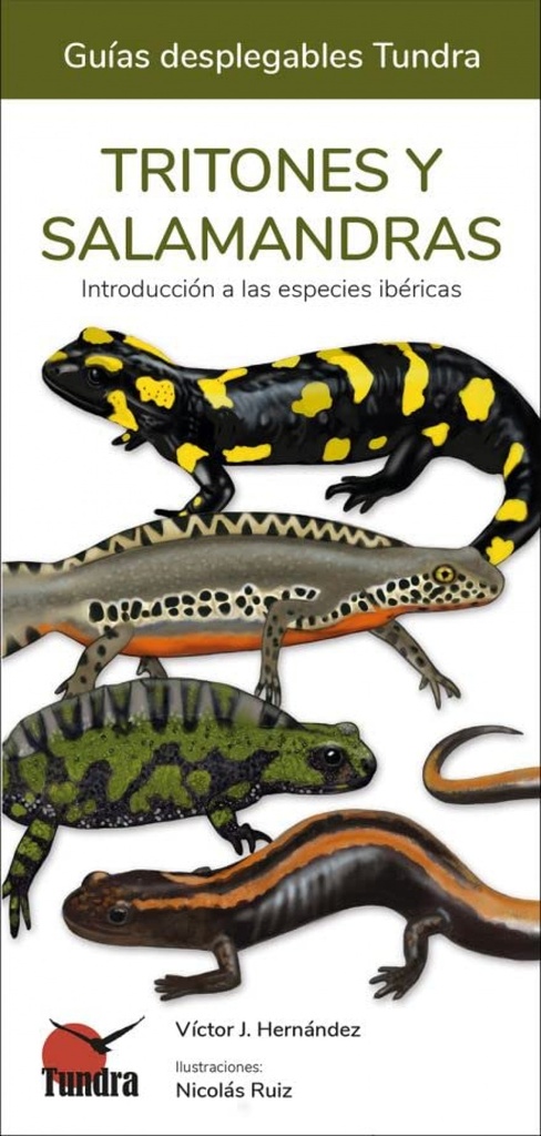 [9788419624116] Tritones y Salamandras