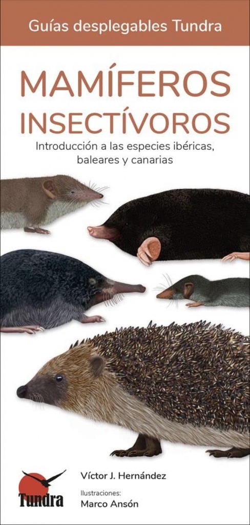 [9788419624130] Mamiferos Insectivoros
