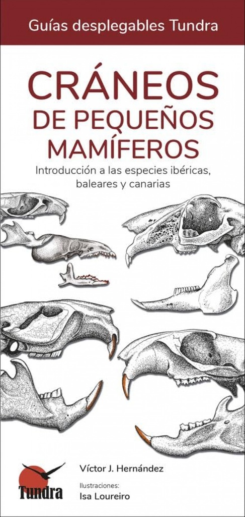 [9788419624185] Craneos de Pequeños Mamiferos - Guias Desplegables Tundra