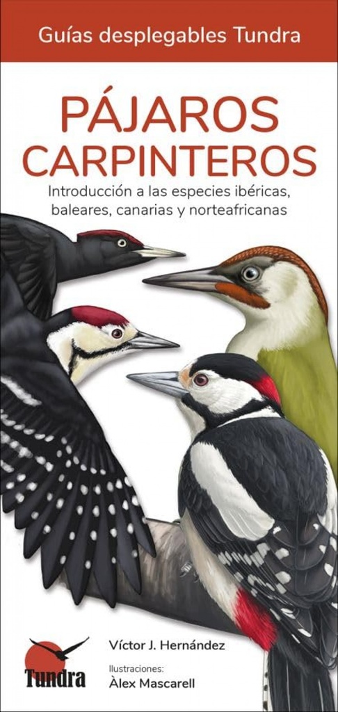 [9788419624192] Pajaros Carpinteros