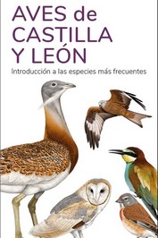 [9788419624260] Aves de Castilla y Leon - Guias Desplegables Tundra