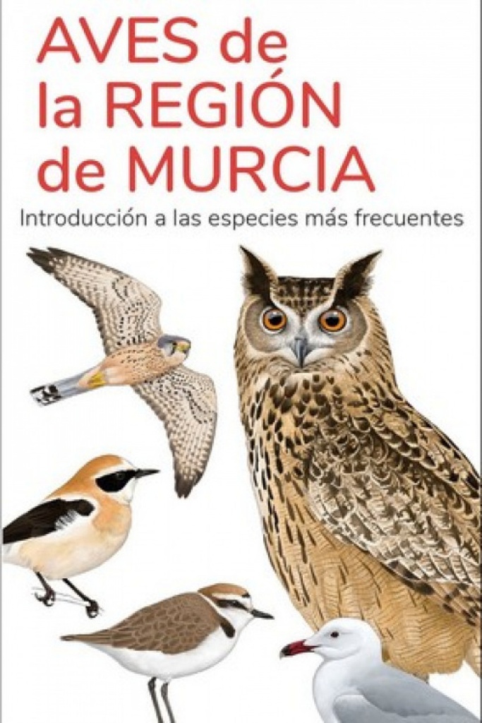 [9788419624277] Aves de la Region de Murcia - Guias Desplegables Tundra